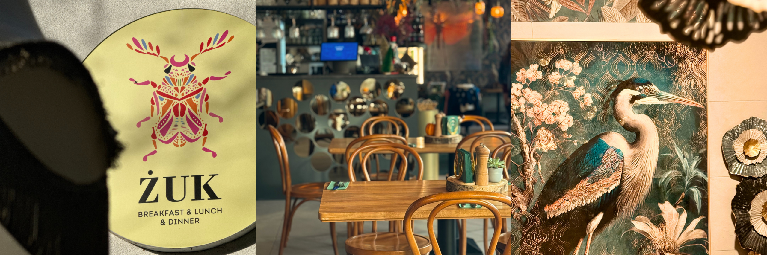 Kontakt | Restauracja ŻUK - miejsce w pełni