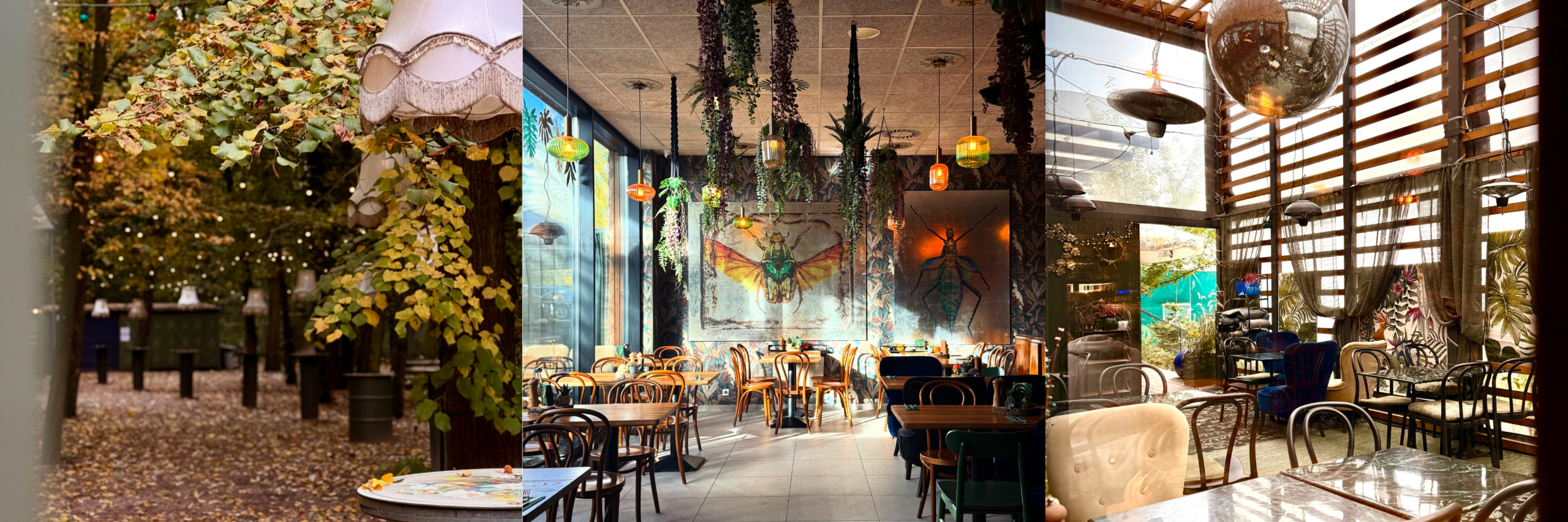 ŻUK Restauracja | O nas